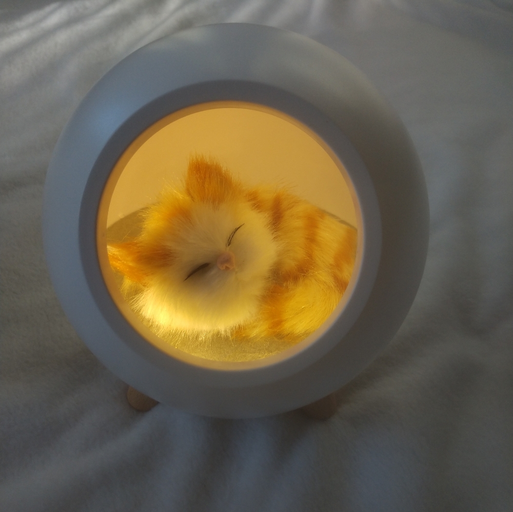 🌟 Cat Night Lamp 🌟